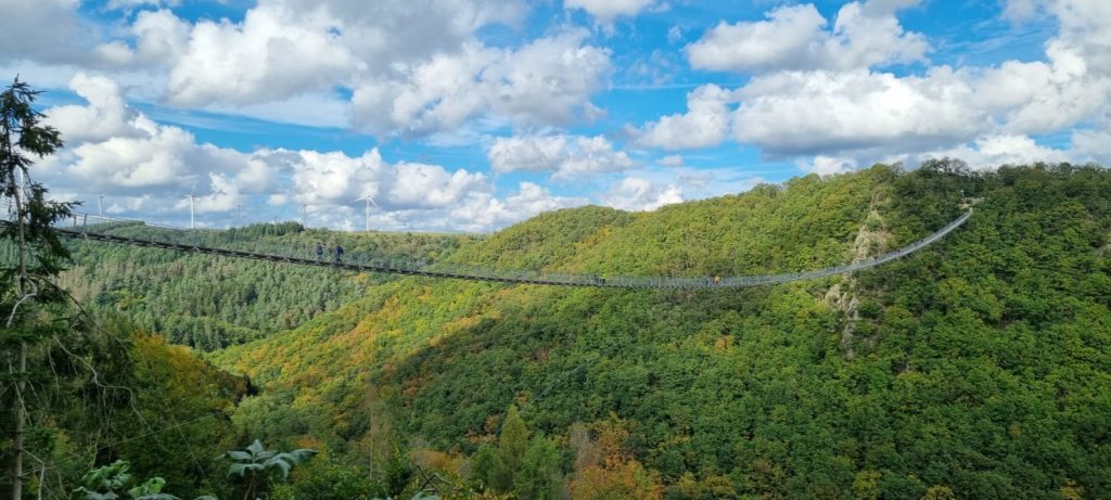 Geierlei Hängebrücke im Hunsrück